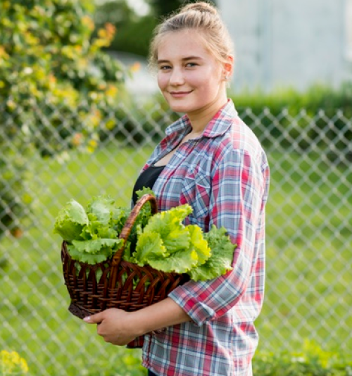 AGRICULTURA ORGÂNICA