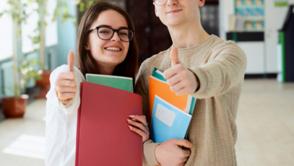 DOCÊNCIA DO ENSINO SUPERIOR E INSPEÇÃO ESCOLAR