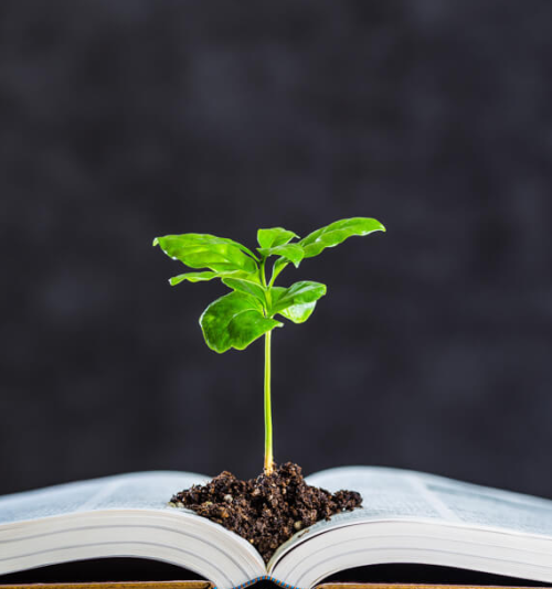 GESTÃO E EDUCAÇÃO AMBIENTAL