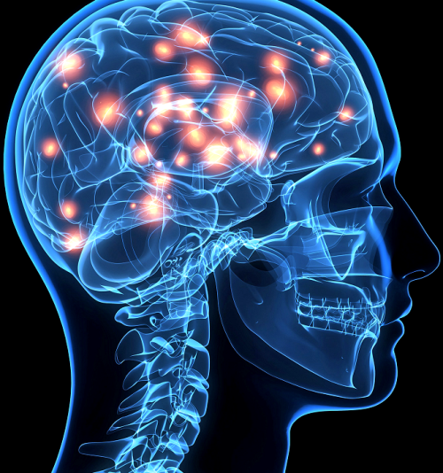 NEUROCIÊNCIA DAS EMOÇÕES APLICADA À REABILITAÇÃO