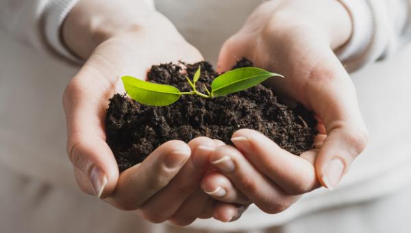 EDUCAÇÃO AMBIENTAL E DESENVOLVIMENTO SUSTENTÁVEL