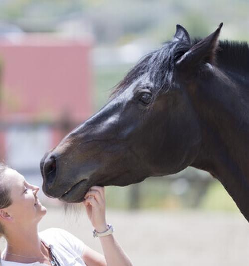 ETOLOGIA CLÍNICA VETERINÁRIA